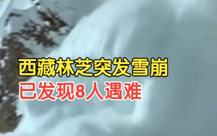 【西藏林芝派墨公路多雄拉隧道出口发生雪崩】已致8人遇难哔哩哔哩bilibili