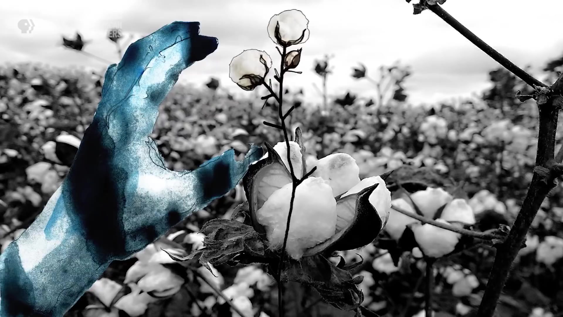 bessiecolemanunladylike2020americanmasters