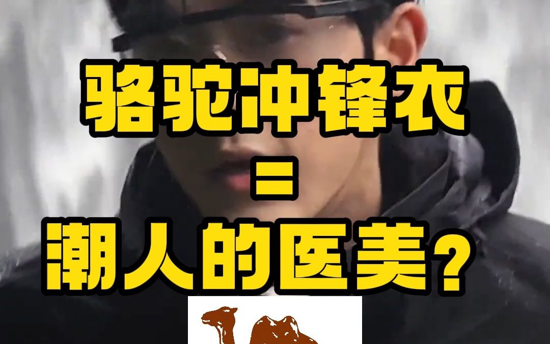 骆驼冲锋衣是潮人们的医美?哔哩哔哩bilibili