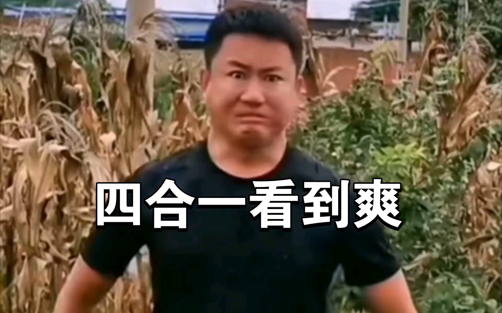 摇摆拳法四合一鬼畜