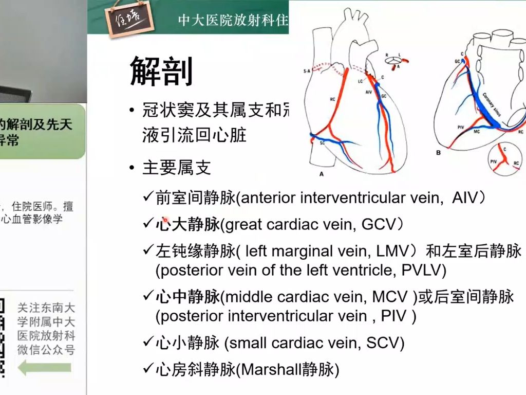 冠状静脉窦解剖图ppt图片