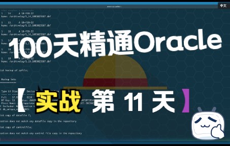 100天精通Oracle实战系列(第11天)Oracle RMAN 基础配置和常用命令哔哩哔哩bilibili