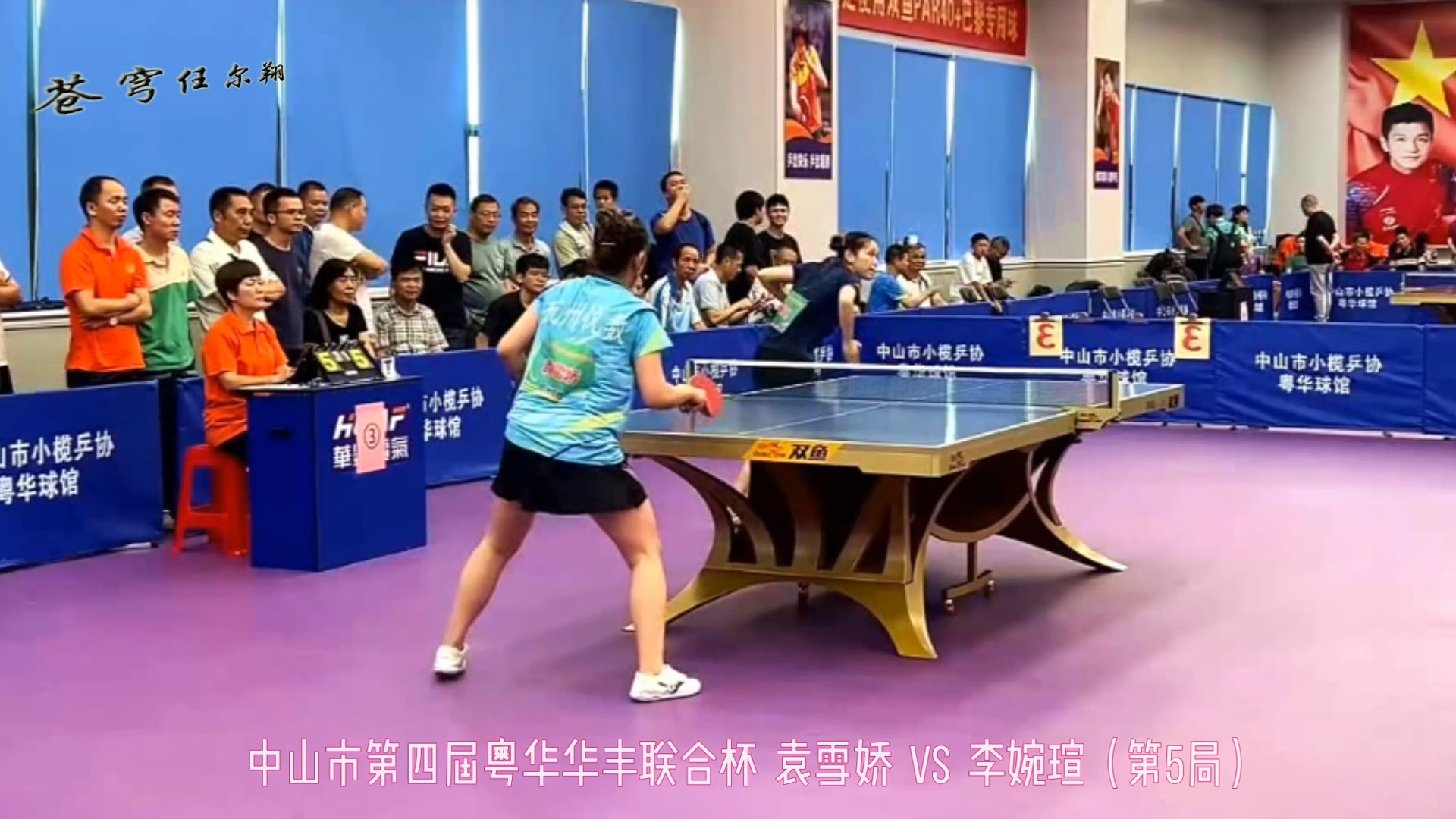 2024第四届粤华华丰联合杯 女子 袁雪娇 vs 李婉瑄 (第5局)