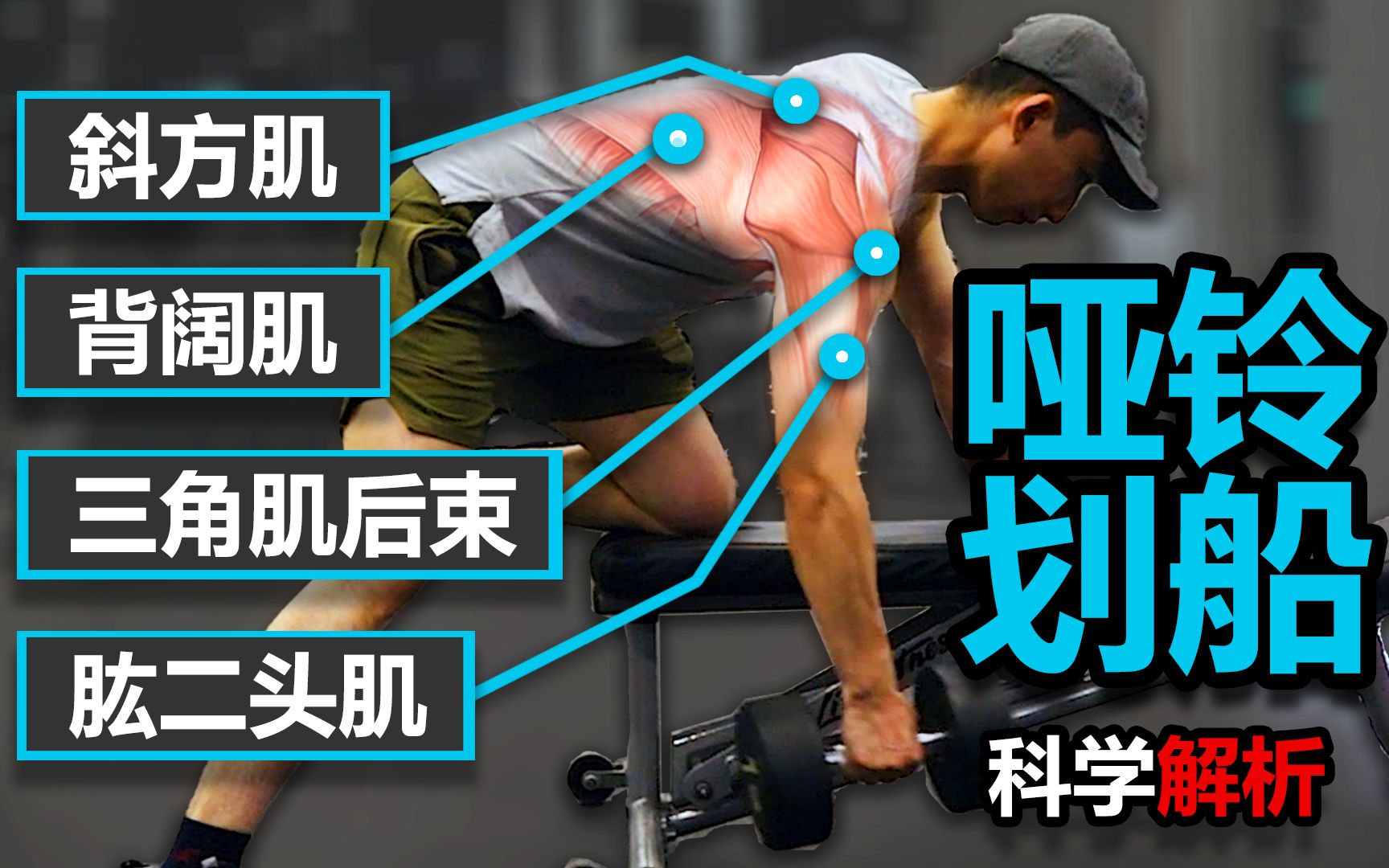哑铃划船—练背之王【动作全面解析】【科学解析】-小黑游记-健身