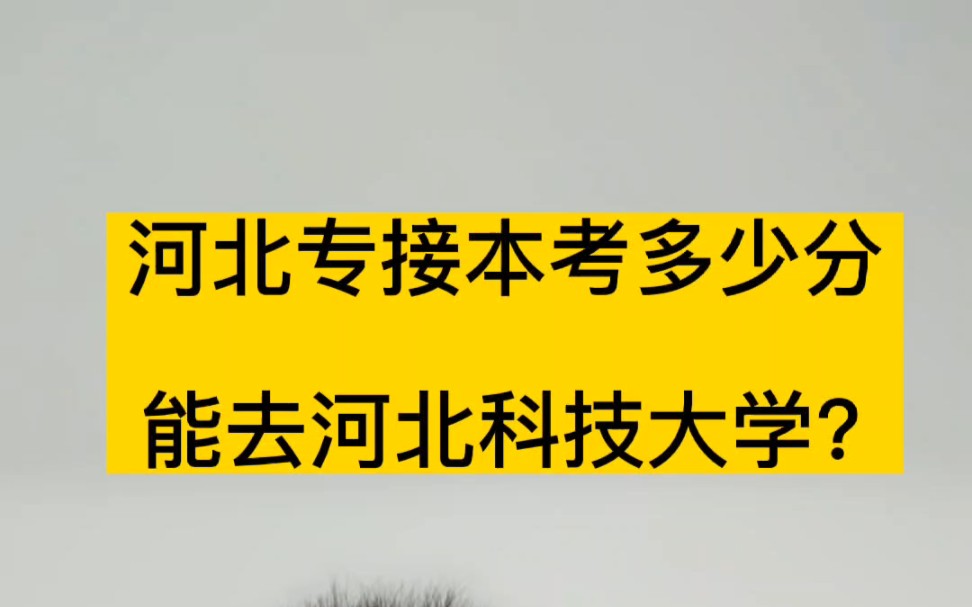 河北专接本考多少分能去河北科技大学?哔哩哔哩bilibili