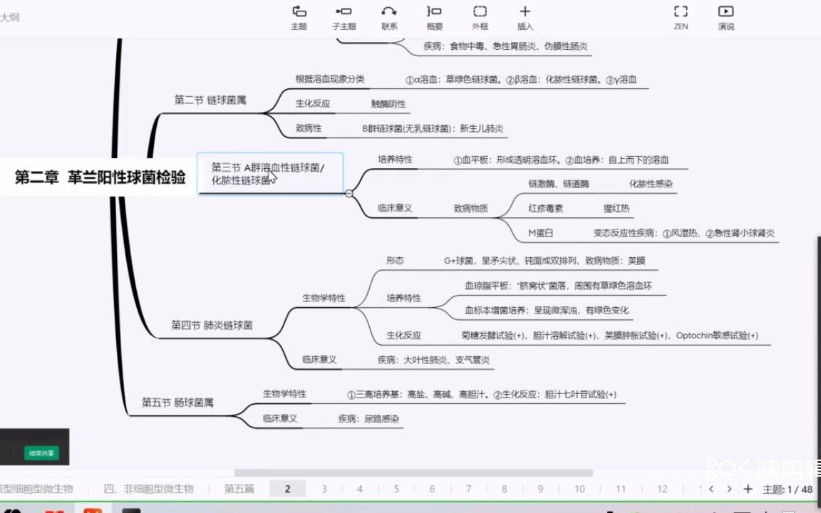 [图]革兰阳性球菌检验——医学检验成美恩