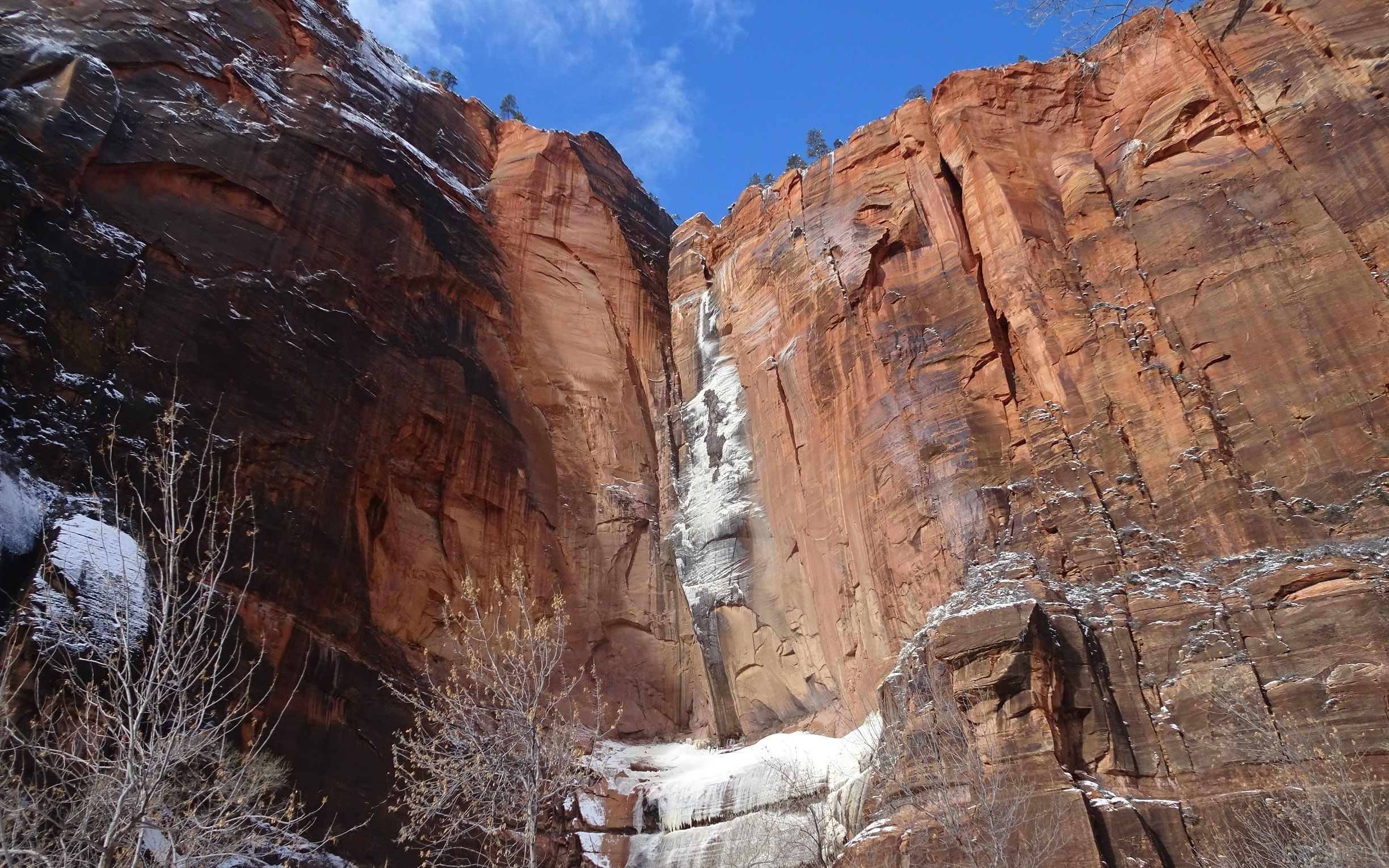 锡安国家公园小雪崩