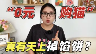 Download Video: 0元购猫？！揭秘免费购猫后的千层套路