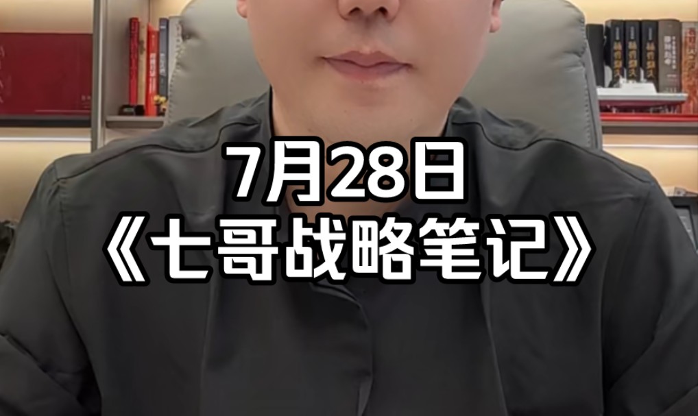 7月28日《七哥战略笔记》哔哩哔哩bilibili