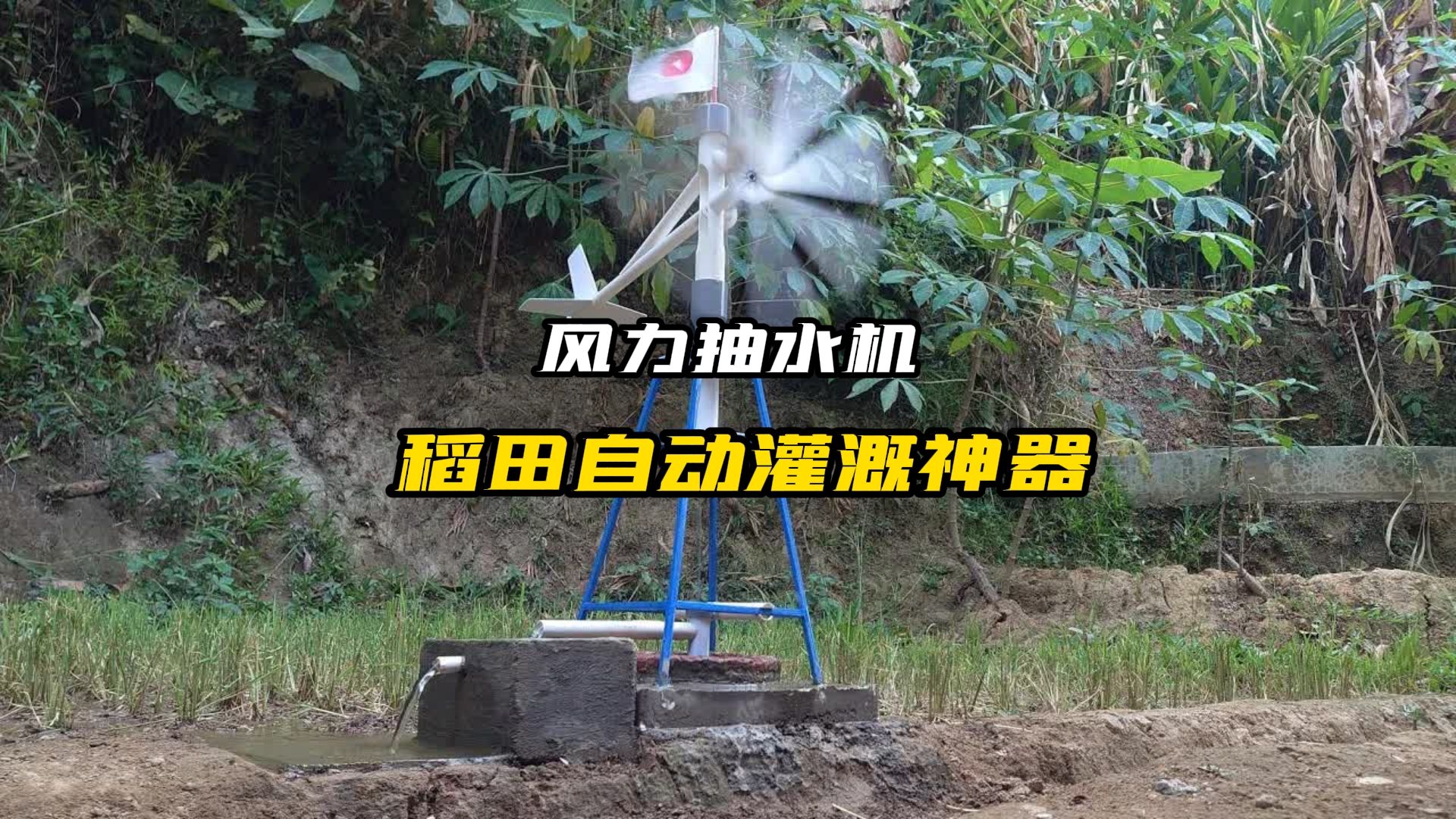 小伙巧用风力提水,制作稻田自动灌溉神器,全村人都惊呆了!