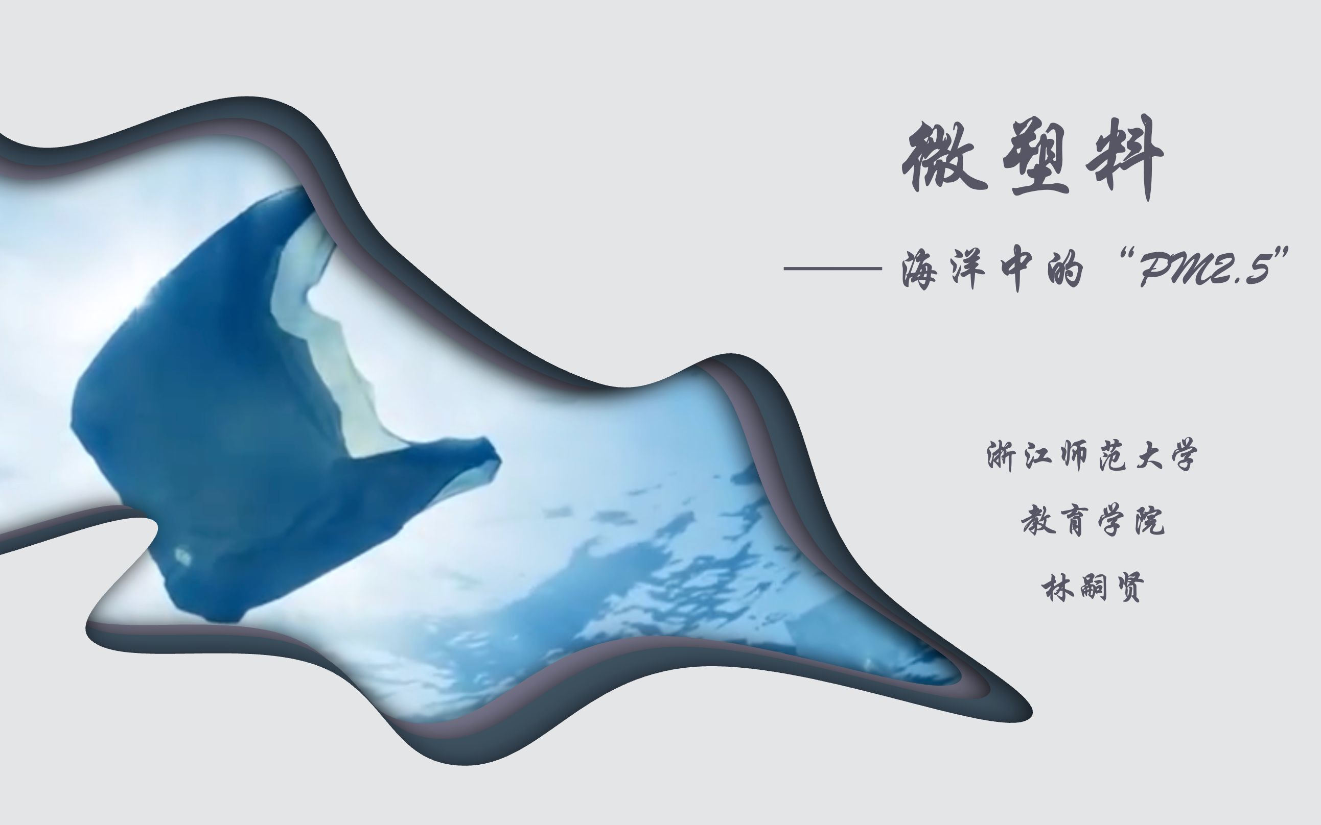 微塑料——海洋中的"pm2.5"