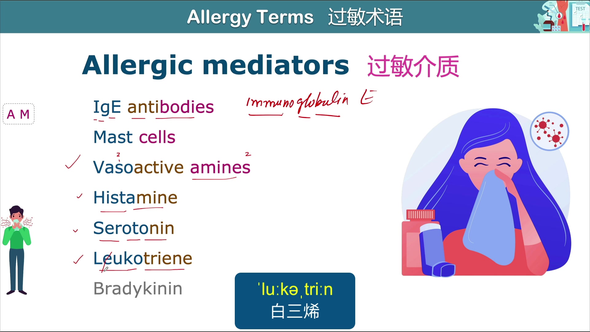 医学英语 |学习过敏介质哔哩哔哩bilibili