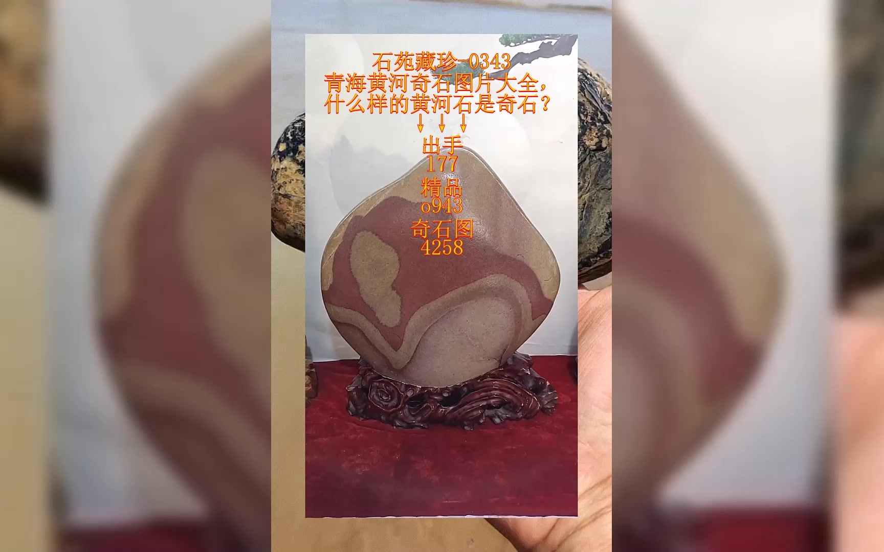 青海黄河奇石图片大全,什么样的黄河石是奇石?