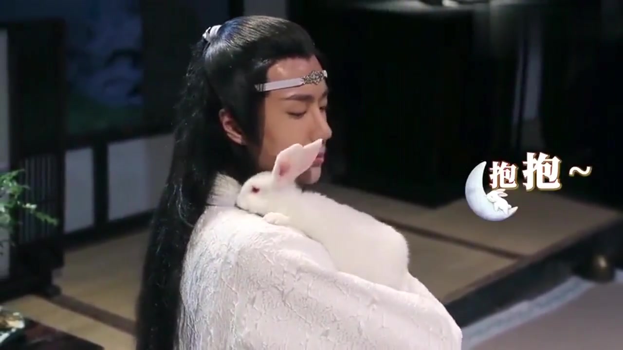 肖战王一博:王一博撸兔子,真是太和谐了