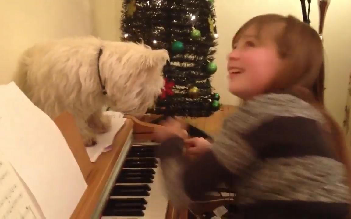 [图]【Connie Talbot】Connie给狗狗Minty唱 "Make You Feel My Love"