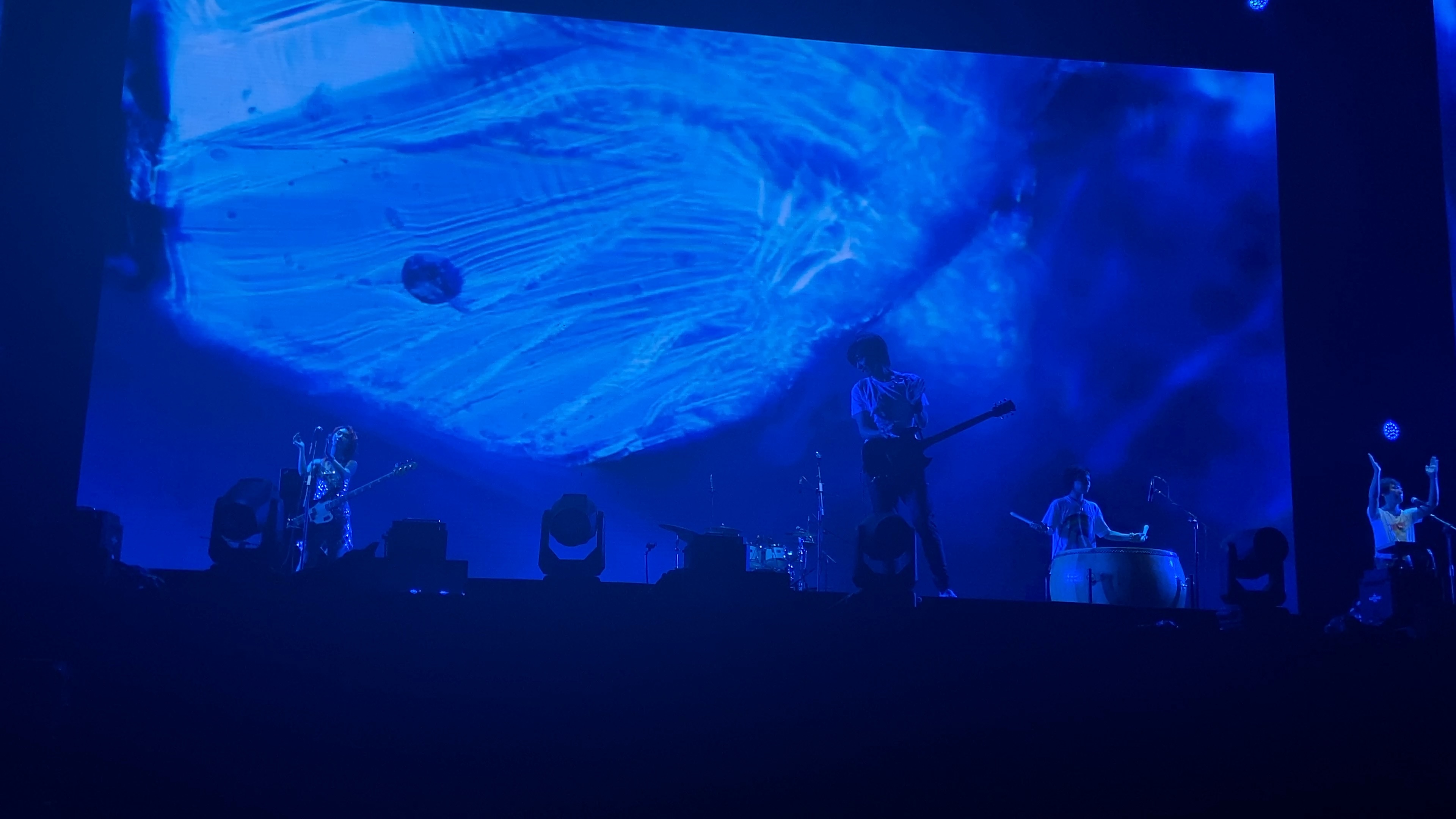 02厦门元气森林音乐节 新裤子乐队《夏日终曲》(vip第一排视角 存档版