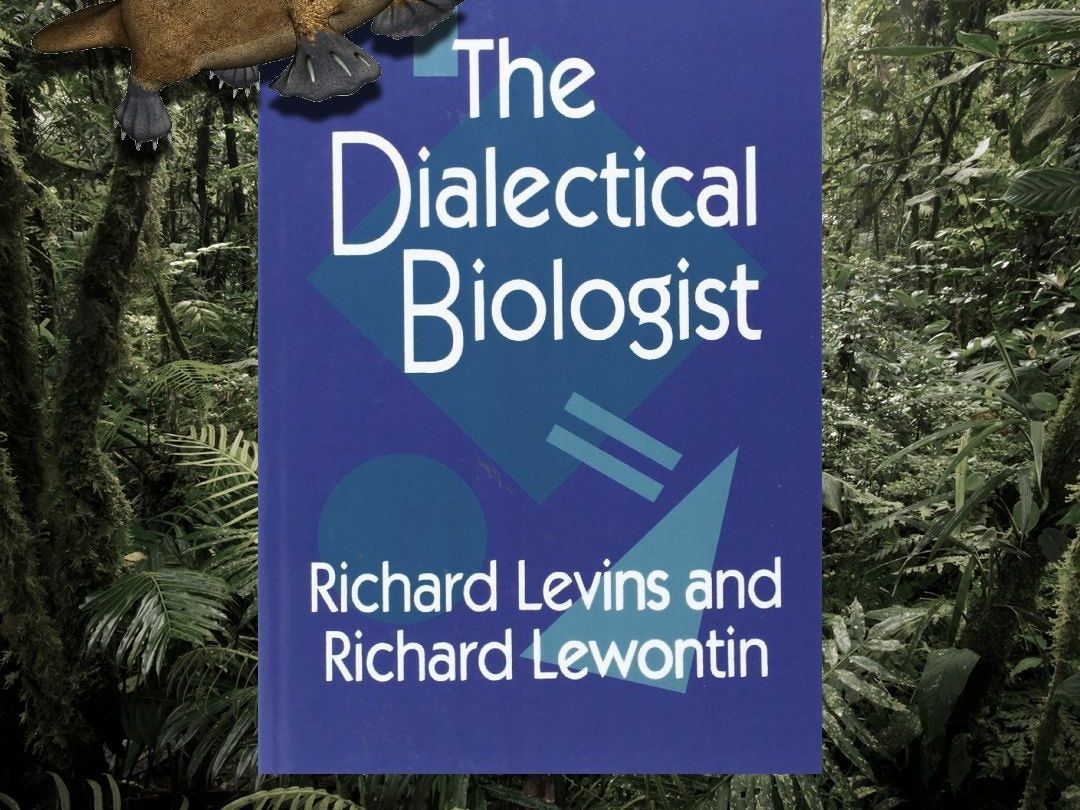 [翻译] Richard Levins and Richard Lewontin, The Dialectical Biologist, 2哔哩哔哩bilibili