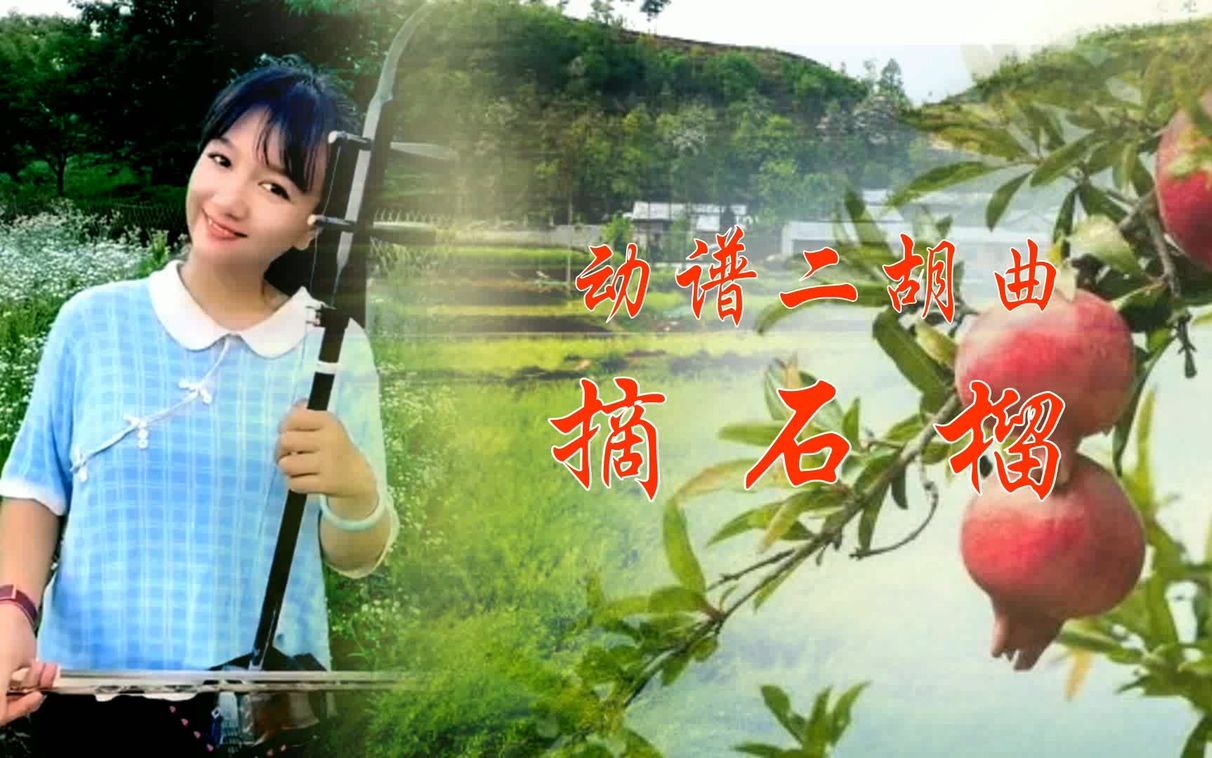 动态简谱二胡曲安徽五河民歌摘石榴小美女天真可爱演技非凡