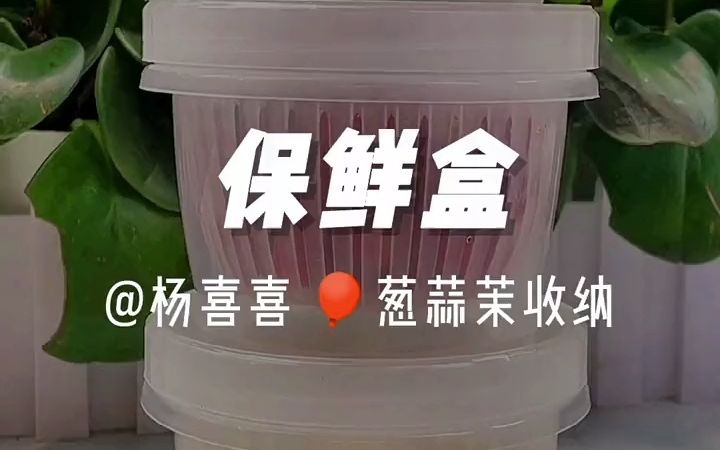 厨房好物收纳葱姜蒜的沥水保鲜盒,放冰箱里不串味.冷藏冷冻都可以#蔬菜收纳 预处理的葱花随用随拿,不浪费!哔哩哔哩bilibili