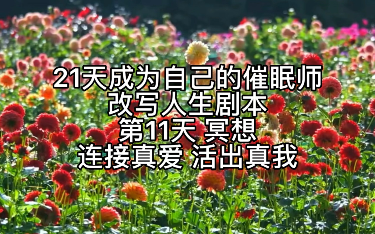 [图]21天成为自己的催眠师改写人生剧本第11天冥想连接真爱活出真我