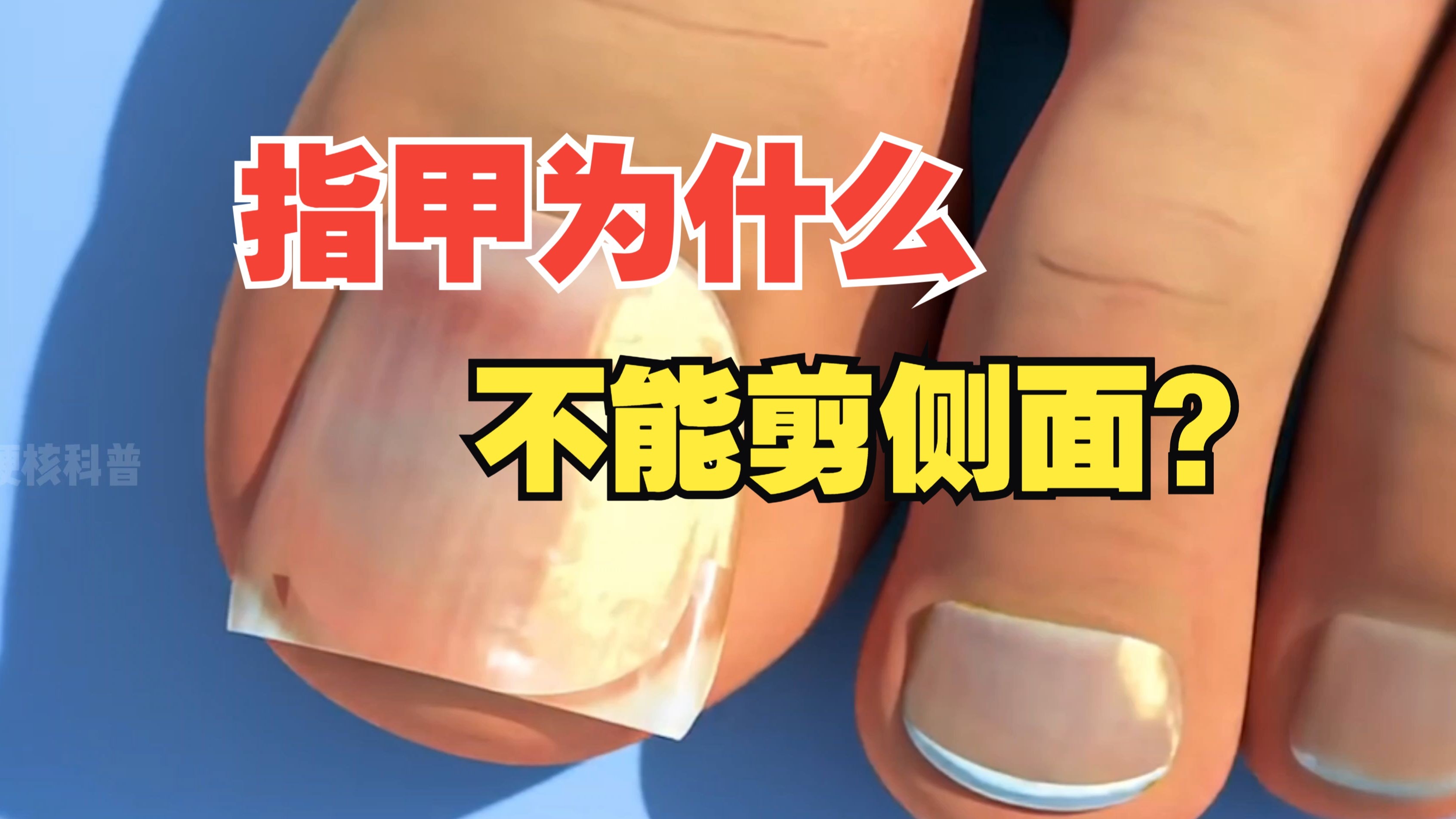 指甲的秘密，指甲上的月牙、竖纹都代表着什么？