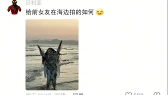 评论区摄影作品锐评，看完不笑的可以确诊抑郁症了！