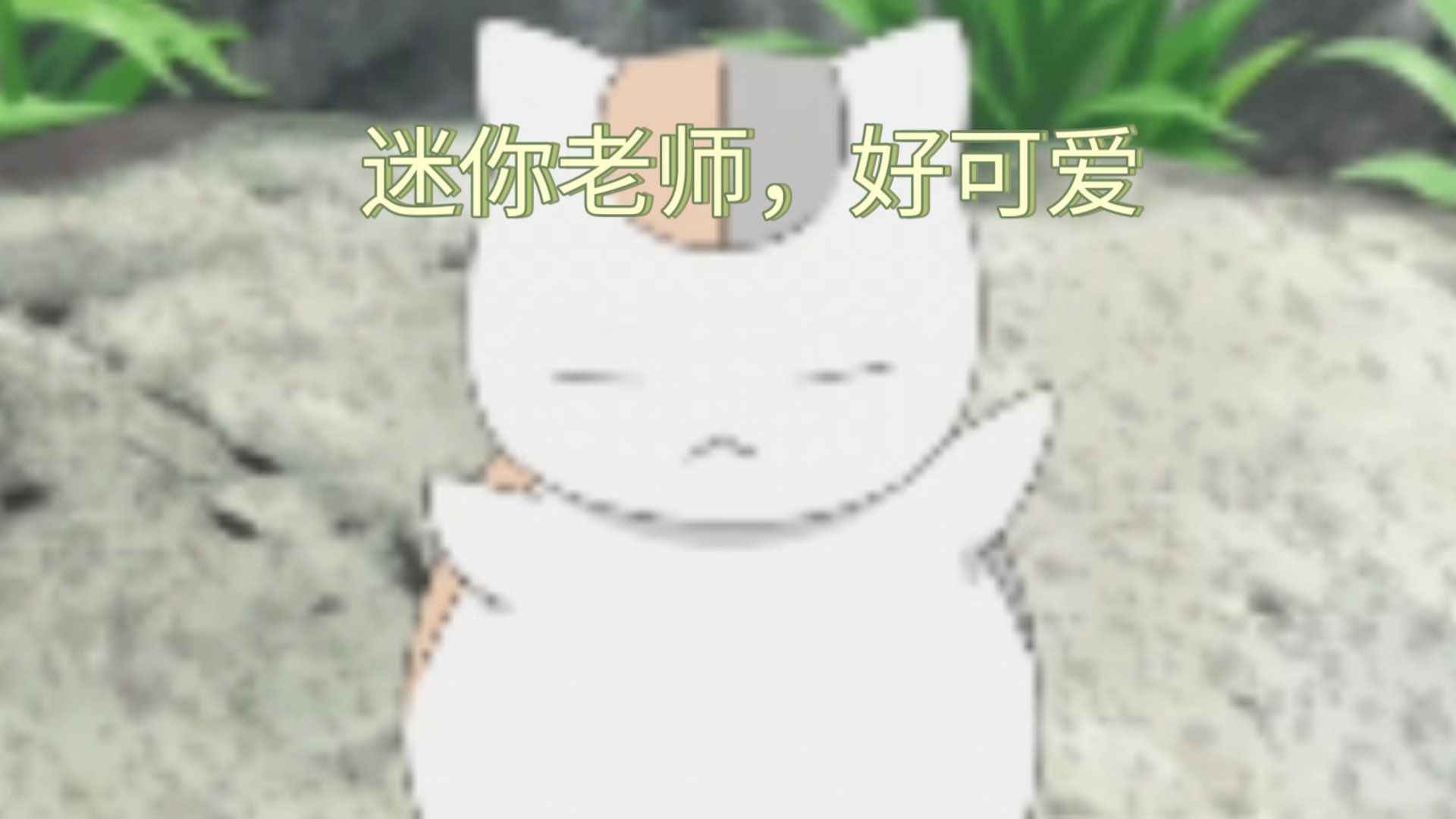 迷你老师,好可爱,一手一个