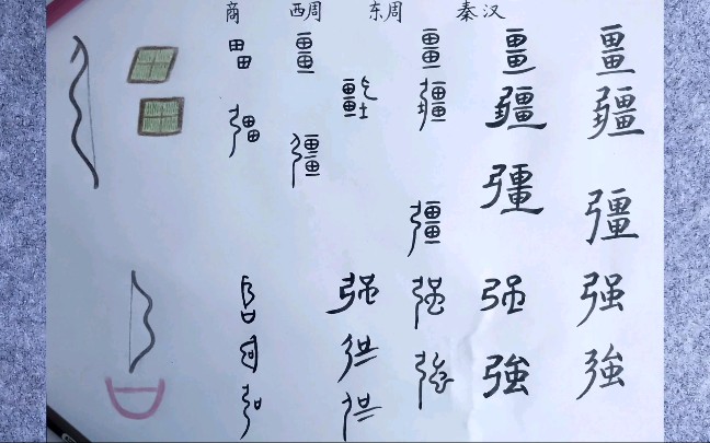 35.汉字演变:“强”,是“疆”,还是“强”?哔哩哔哩bilibili