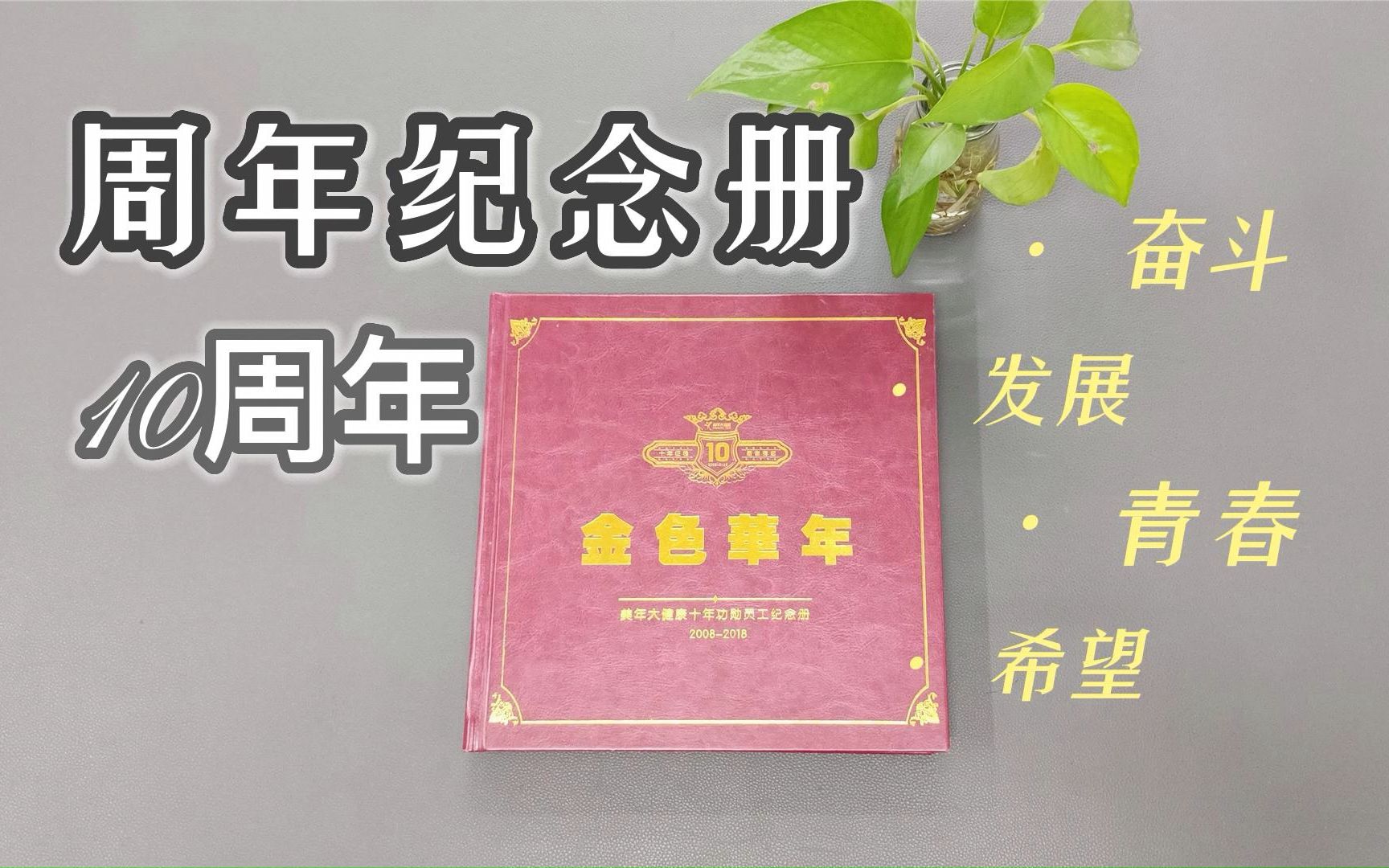中铂定制周年画册案例:制作企业十周年纪念册 记载企业光辉历程
