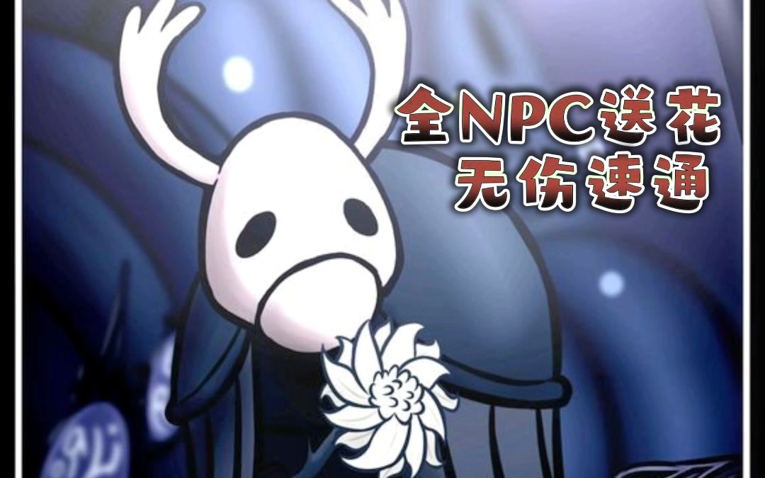 [图]【空洞骑士1.4.32】全NPC送花！全程无伤  14：44