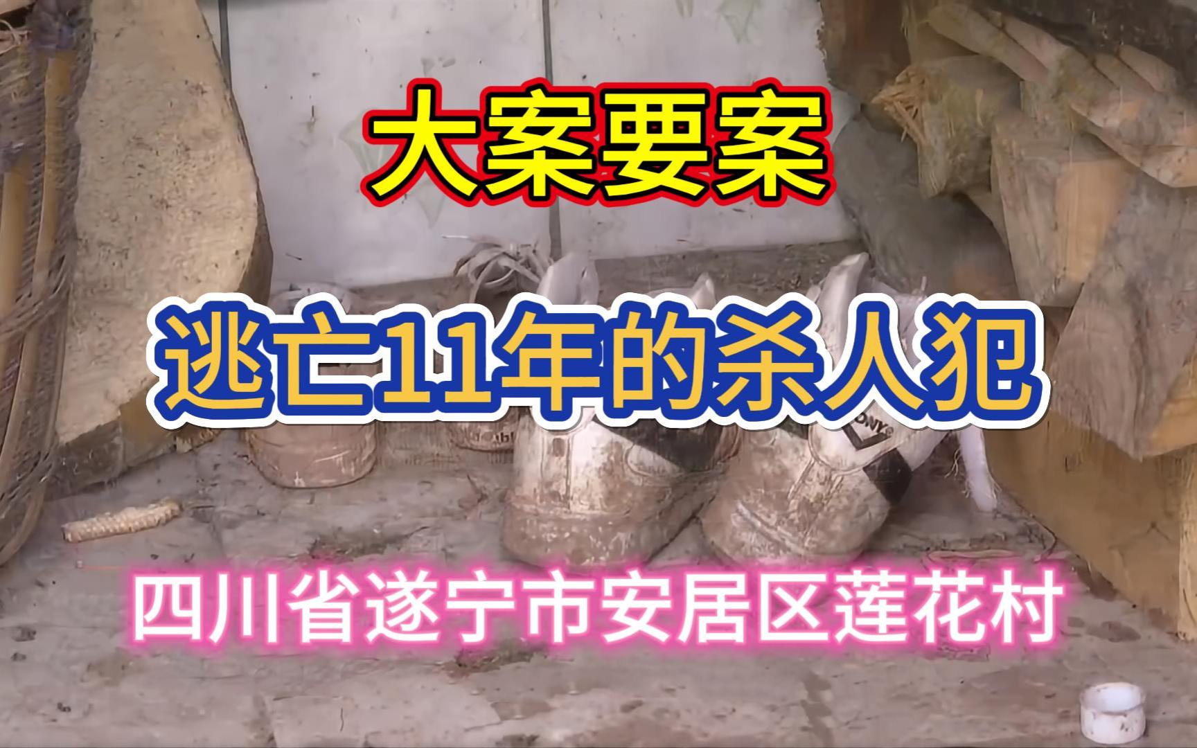 大案要案:逃亡11年的杀人犯(四川省遂宁市安居区莲花村命案)哔哩哔哩bilibili