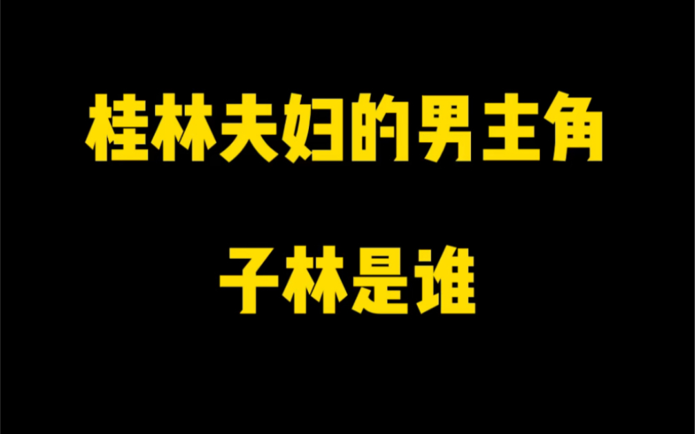 桂林夫妇的男主角,子林是谁?哔哩哔哩bilibili