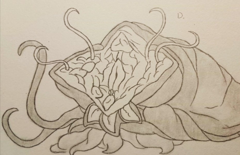 各有所用的触手怪(确信)