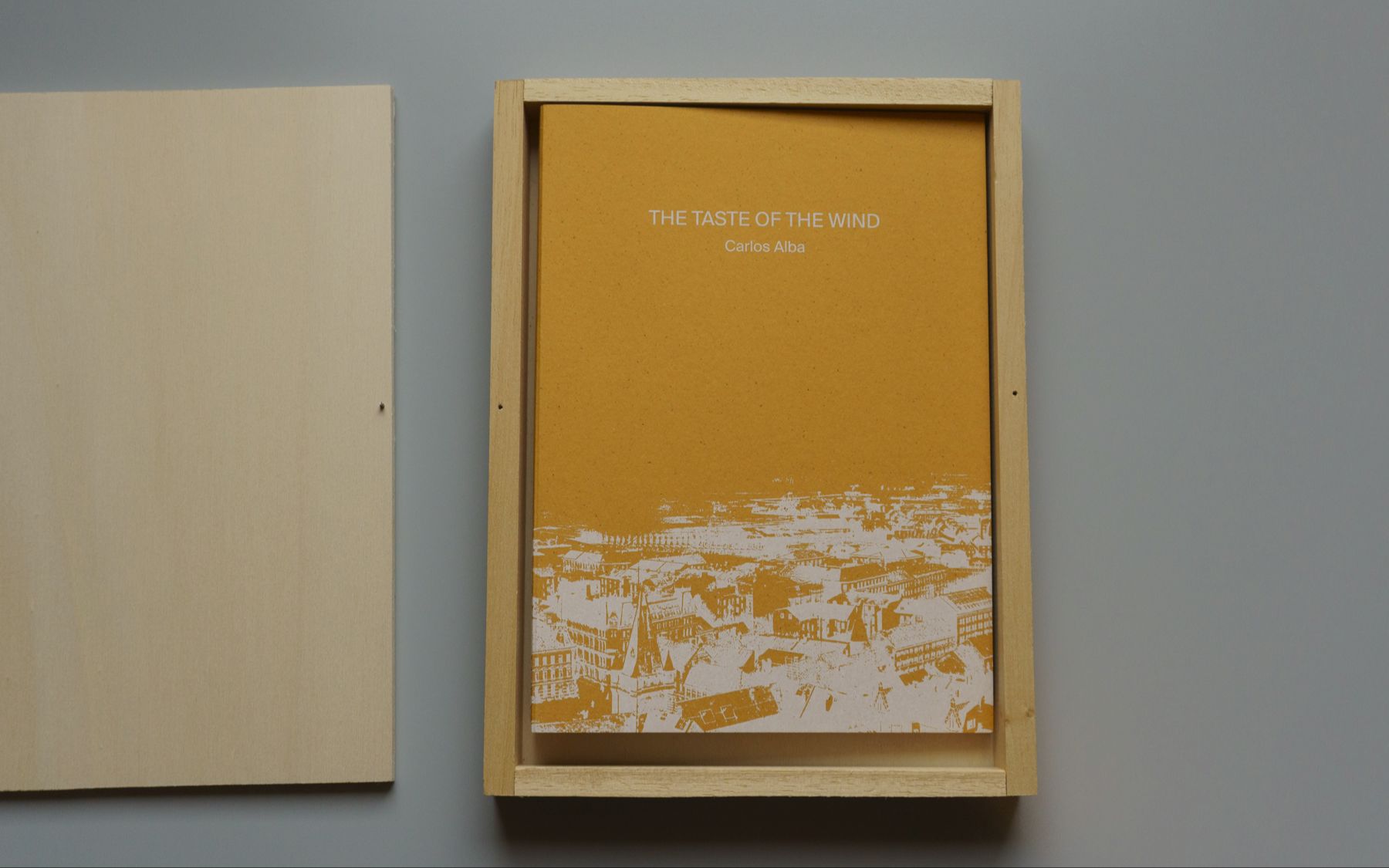 【翻书】the taste of the wind 风之味 by carlos alba