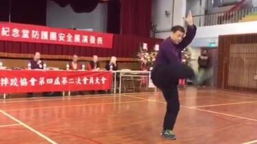 八极拳名家季昭华先生演练季氏八极拳单摘_哔哩哔哩_bilibili