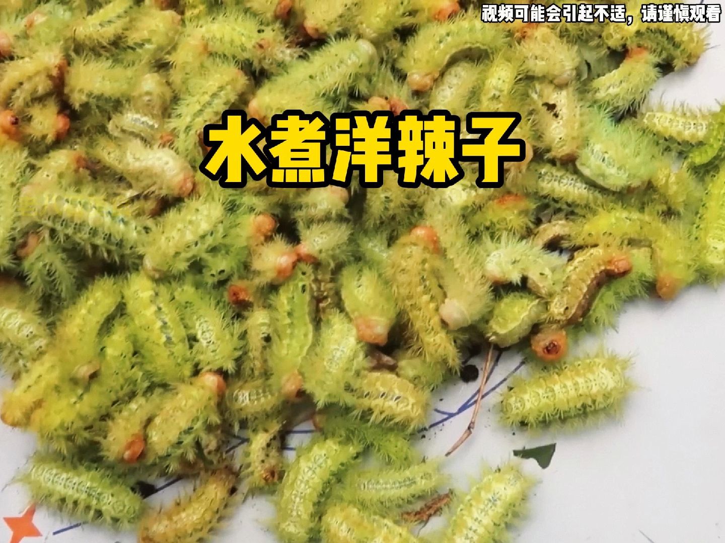 越南美食“水煮洋辣子”,一吃一个不吱声哔哩哔哩bilibili