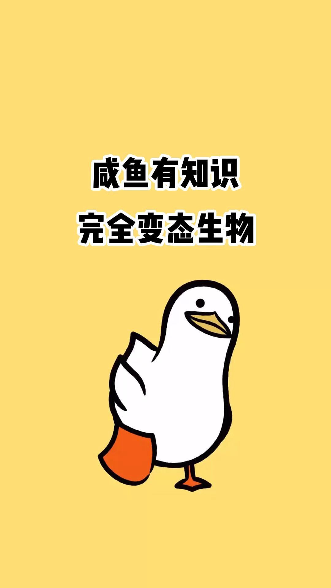 完全变态生物哔哩哔哩bilibili