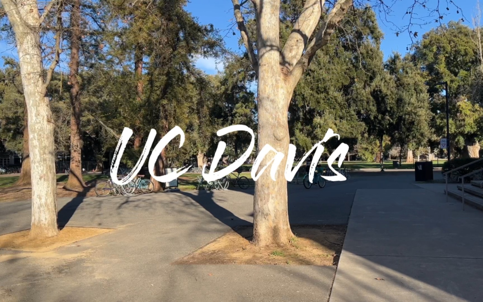 UC Davis|逛一下戴维斯的校园吧哔哩哔哩bilibili