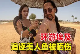 Download Video: 环游埃及最后1次自由潜，追逐传说中的美人鱼，结果被严重晒伤！