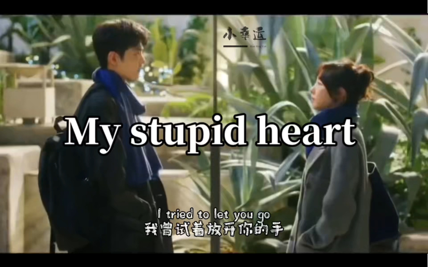 [图]My stupid heart ×骄阳伴我，这首歌唱的是不是小奶狗盛阳的心路历程？