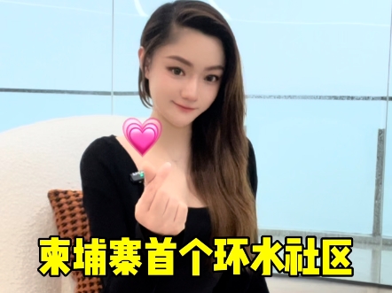 金边找房就找美辰地