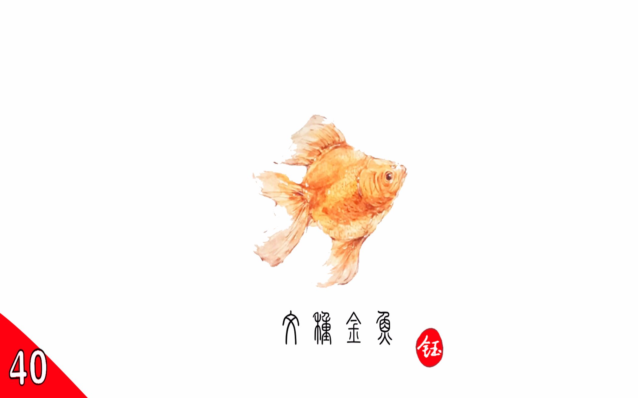 少鈺水彩日記第40期#脊索動物門之文種金魚_嗶哩嗶哩 (゜-゜)つロ