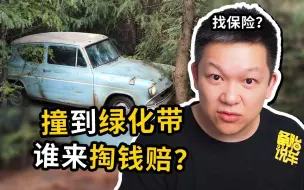 Video herunterladen: 开车不小心撞到绿化带、护栏，是自己赔还是走保险？