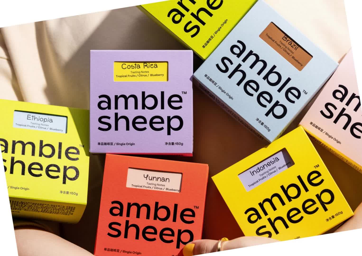 amble sheep精品咖啡品牌手册哔哩哔哩bilibili