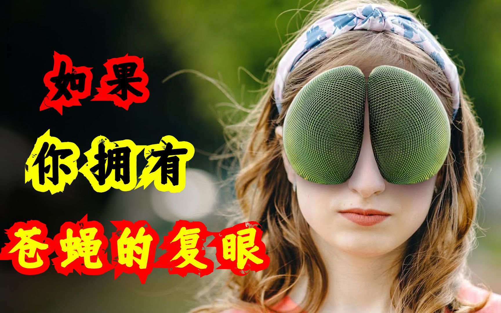 [图]如果你拥有苍蝇的复眼，会发生什么？你眼中的世界是什么样子的