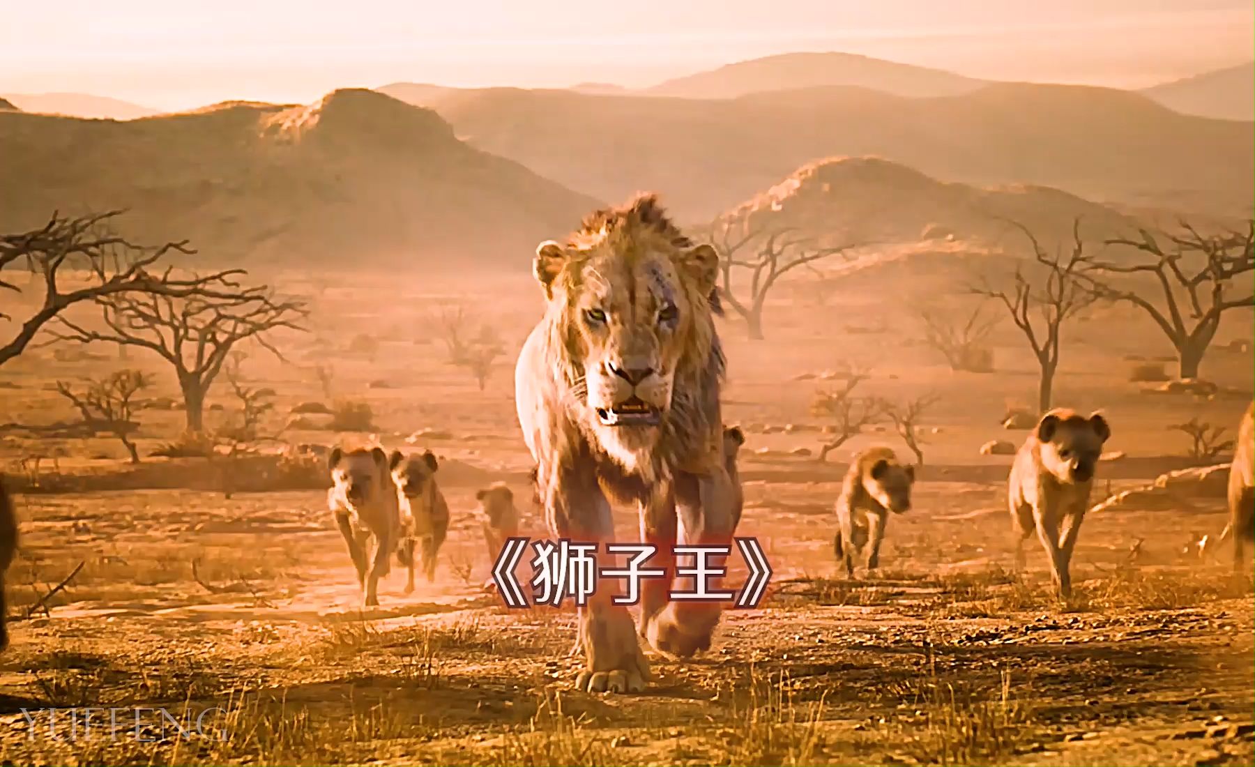 "我非天生勇者 生而为王必承其重"