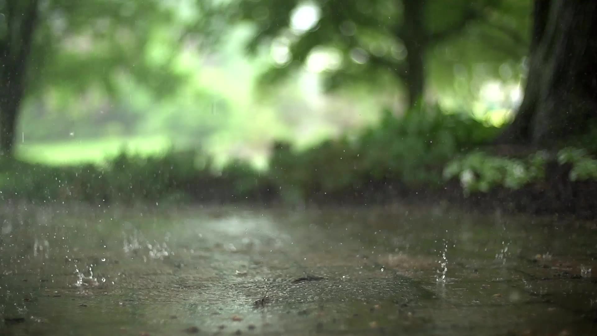 你好!三月,实拍雨中风景,突然好怀念一场倾盆大雨哔哩哔哩bilibili