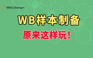 Download Video: WB实验样本制备实操及讲解