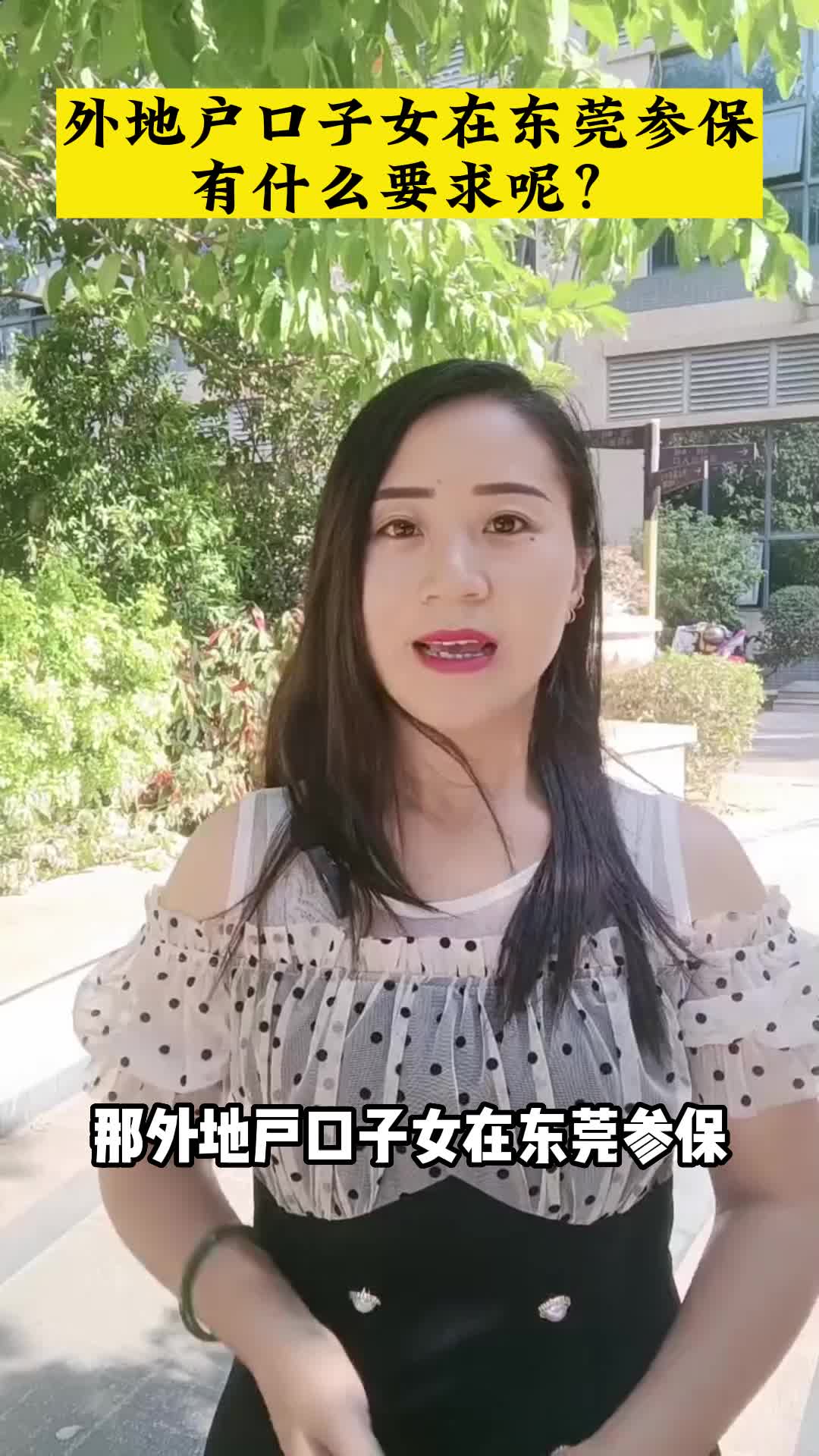 东莞入户最新政策,东莞入户去哪里办,东莞入户电话哔哩哔哩bilibili