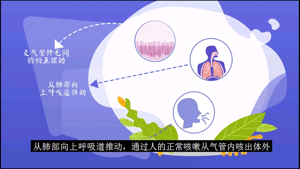 慢性肺疾病的自我排痰管理哔哩哔哩bilibili